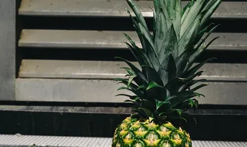 THREE(3) AMAZING FACTS I BET YOU NEVER KNEW ABOUT PINEAPPLE PEELS