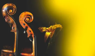 How To Monetize Your Music - For Upcoming Artist