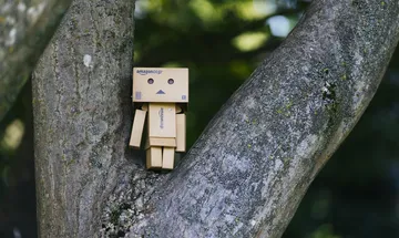 Full Update On Elon Musk’s Robot Wife