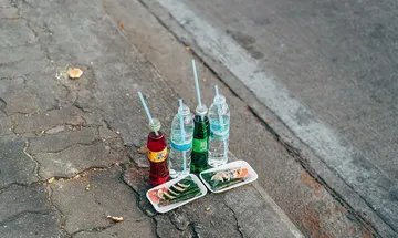 Will Ghana Do Same?. Romania's  Develop A Cleaning Device To Collect Plastic Bottles In Rivers.